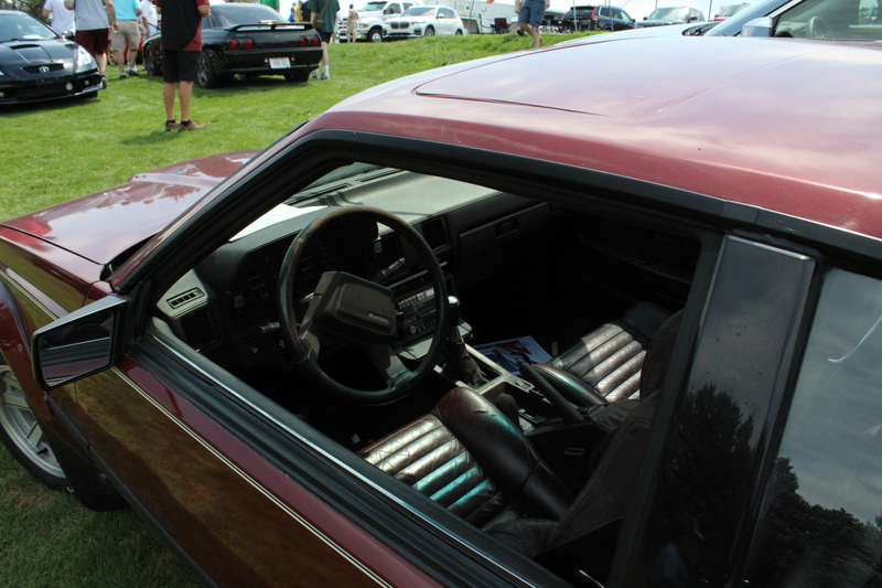 Illustration for article titled PVGP photos